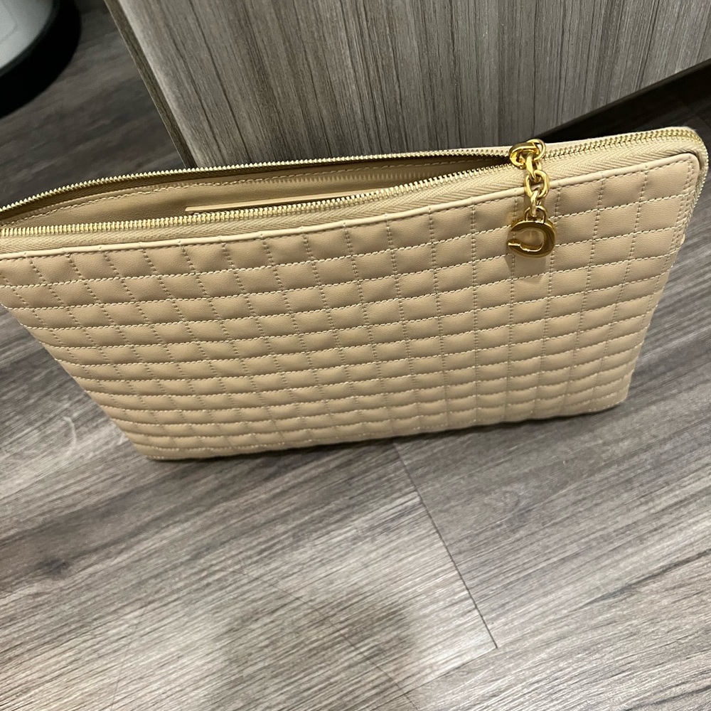 Authentic Celine Clutch